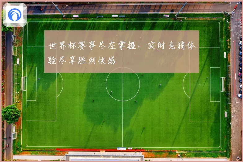 世界杯赛事尽在掌握，实时竞猜体验尽享胜利快感