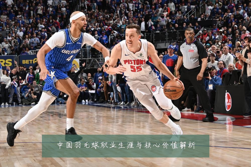 中国羽毛球职业生涯与核心价值解析